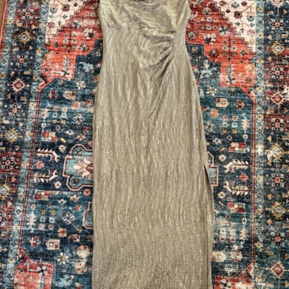 Women’s Sliver Dress Size 4